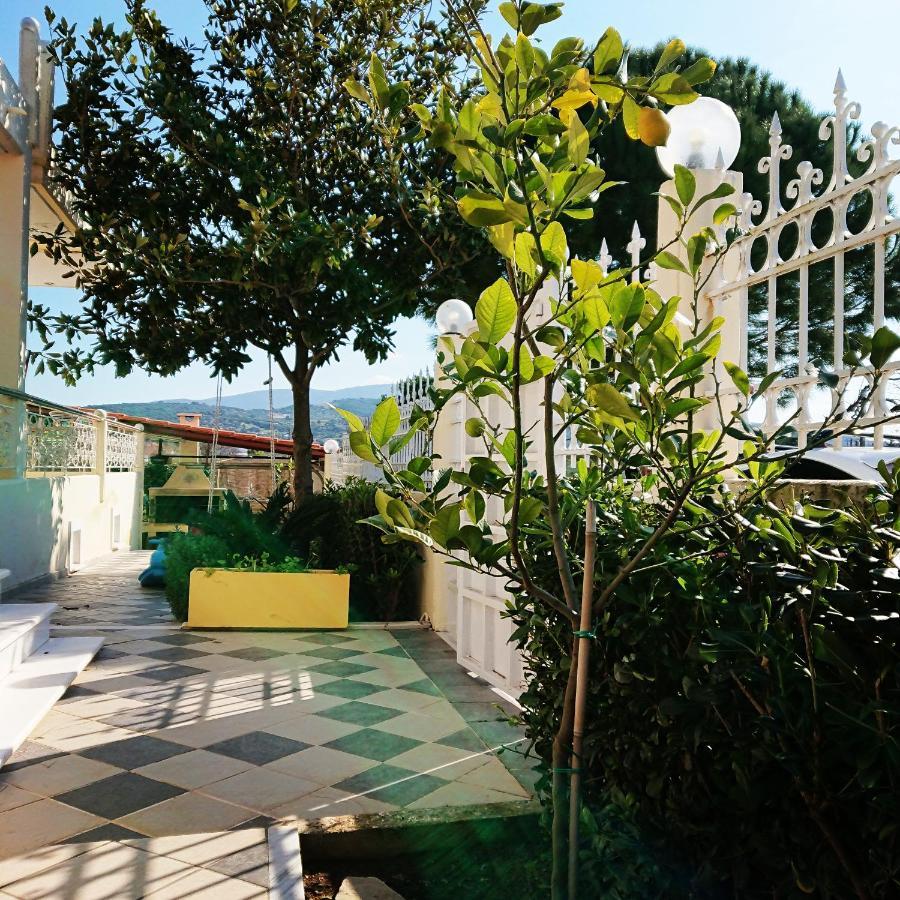 Villa Filoxenia All Seasons, Near Airport, Sea, Athens Agia Marina  Exterior photo