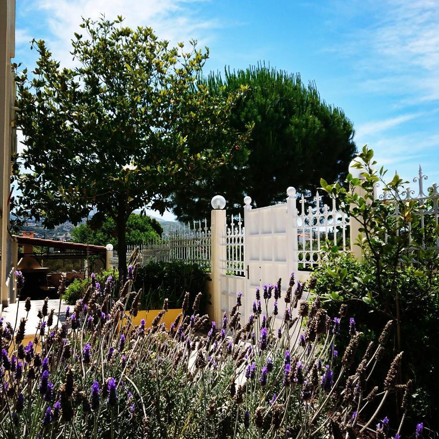 Villa Filoxenia All Seasons, Near Airport, Sea, Athens Agia Marina  Exterior photo