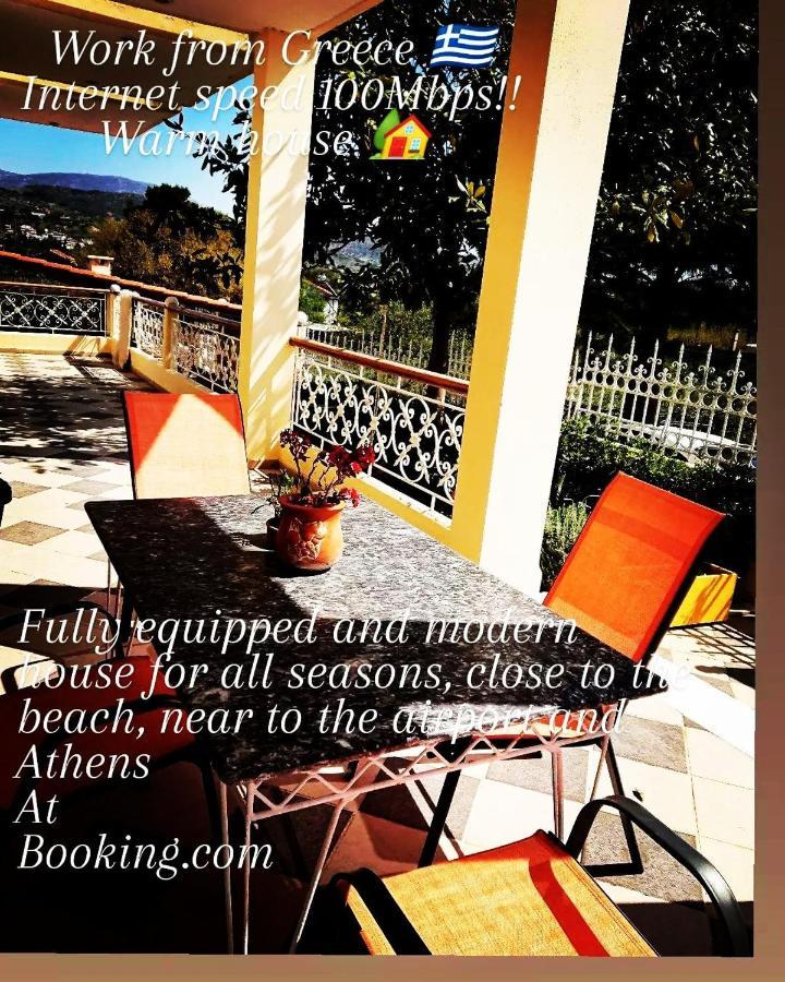 Villa Filoxenia All Seasons, Near Airport, Sea, Athens Agia Marina  Exterior photo