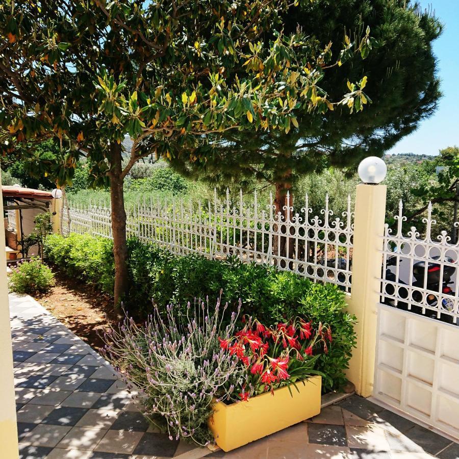 Villa Filoxenia All Seasons, Near Airport, Sea, Athens Agia Marina  Exterior photo
