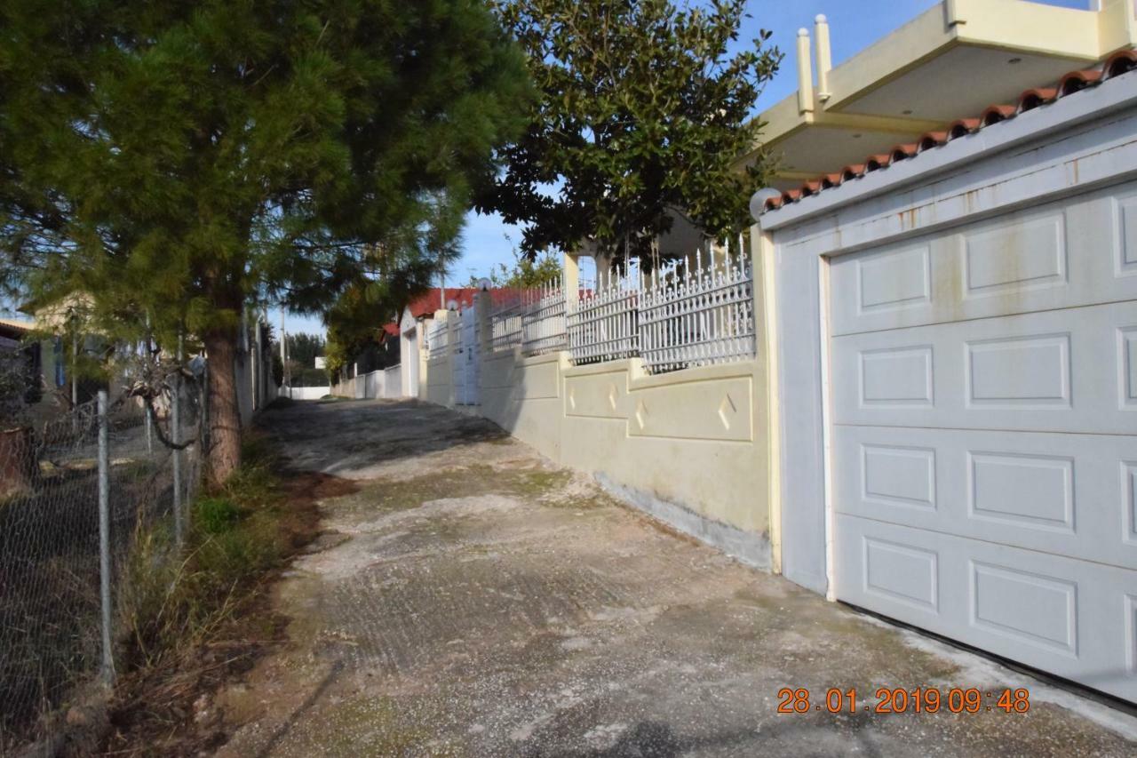 Villa Filoxenia All Seasons, Near Airport, Sea, Athens Agia Marina  Exterior photo