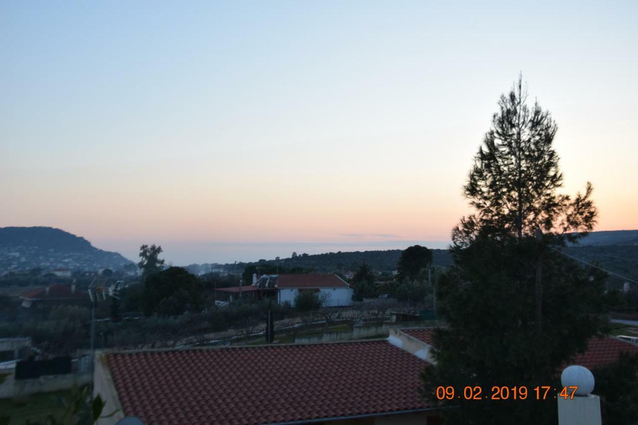 Villa Filoxenia All Seasons, Near Airport, Sea, Athens Agia Marina  Exterior photo